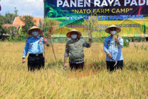 Pemberdayaan WBP Lapas Pamekasan, Panen Raya Padi “NATO FARM CAMP”