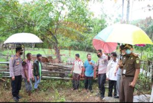 Kapolres Simeulue Sosialisasi Penyakit Mulut dan Kuku (PMK) Kepada Peternak Sapi