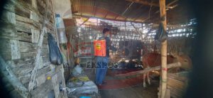 Antisipasi PMK, FRPB Lakukan Penyemprotan Disinfektan