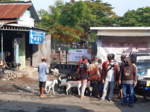 Antisipasi Penyebaran PMK, Pasar Hewan Grati di Tutup.