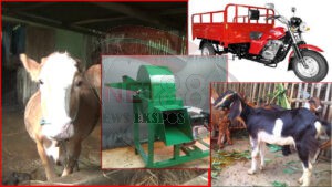 Tak Hanya Sapi, Oknum Ketua PokTan di Kecamatan Takeran Diduga Selewengkan Bantuan Hibah dari Tahun 2017 Hingga 2021