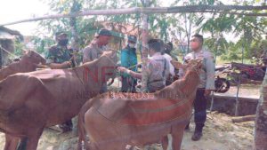 Babinsa Waru Barat Dampingi DKPP Lakukan Vaksinasi