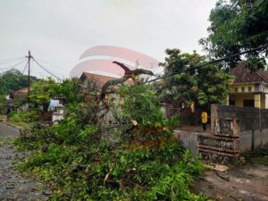 Angin Puting Beliung Terjang Desa Ngudirejo Kecamatan Diwek