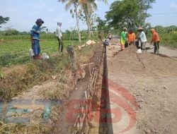 Proyek Dana Desa Sal Irigasi Jalan Desa Sumber Salam Kecamatan Tenggarang Diduga “Menjadi Ajang Mark Up”