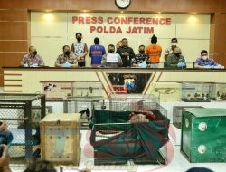 Polda Jatim Bongkar Praktik Jual Beli Satwa Dilindungi dan Amankan 304 Satwa