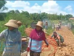 Babinsa Bujur Barat Gotong Royong Bersama Warga Karya Bhakti Bangun Jalan Desa