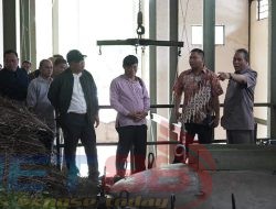 Tinjau Pabrik Minyak Kayu Putih, Ketua Pansus Adet Mastur Harap Kawasan Hutan Babel Dapat Di Manfaatkan