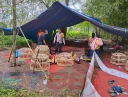 Jajaran Polsek Tenggarang Grebek Judi Sabung Ayam di Desa Sumber Salam