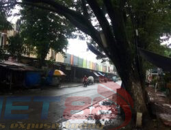 Pohon di Utara Kec Wringin Dikuatirkan Roboh, Warga Curhat di Medsos