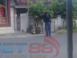 Tiang dan Kabel FO Wifi Semrawut, Warga Jalan Suhadak Sampang Mengeluh
