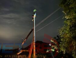 Dampak Hujan Lebat Disertai Angin Kencang, PLN ULP Pamekasan Lakukan Penanganan STUM