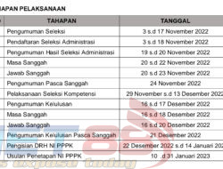 PPPK Formasi Adminkes Bondowoso, Profesional Panselda Dipertaruhkan Dalam Penambahan Nilai Afirmasi