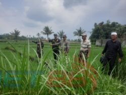 Kasus Sengketa Tanah di Desa Tegal Pasir Berlanjut ke Pengadilan Negeri Bondowoso
