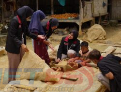 Mahasiswa UMM Abdikan Diri di Taneyan Lanjhang Pamekasan, Berikut Program Andalannya