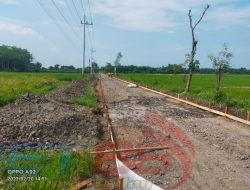 Tomas dan Warga Wonokoyo Apresiasi Langkah Bupati Situbondo Dalam Perbaikan Jalan