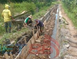 Dengan Swadaya, Warga Desa Locare Perbaiki Selokan Rusak Untuk Mengairi Sawah