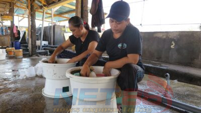 LPEI Resmikan Desa Devisa