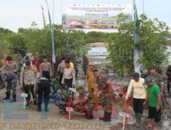 Kodim 0826/Pamekasan Tanam Ratusan Pohon Mangrove Di Pesisir Pantai Padelegan