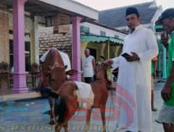 Sebagai Wujud Syukur Ketua IBM Berqurban Sapi dan Kambing
