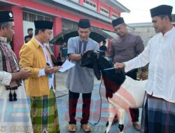 Rayakan Idul Adha 1444 H Lapas Narkotika Kelas IIA Pamekasan Kanwil Kemenkumham Jatim Laksanakan Penyembelihan Hewan Qurban