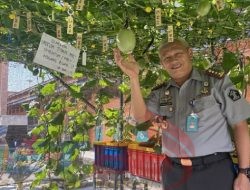 Lapas Pamekasan Berikan Pembinaan dan Pelatihan Penanaman Hidroponik Terhadap Warga Binaan