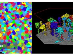 Drone untuk Transformasi Bursa Karbon dan Mitigasi Perubahan Iklim di Indonesia