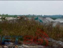 Diduga Dua Excavator Memporak porandakan Kawasan Hutan Wisata Di Desa Namang