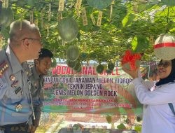 Lapas Pamekasan Bekali Warga Binaan Cara Hidroponik buah Melon