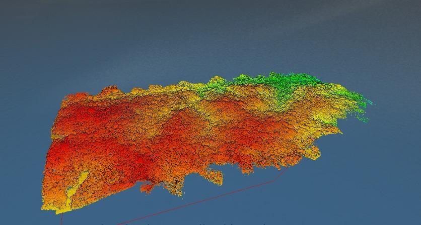 Hasil data LiDAR di area vegetasi padat