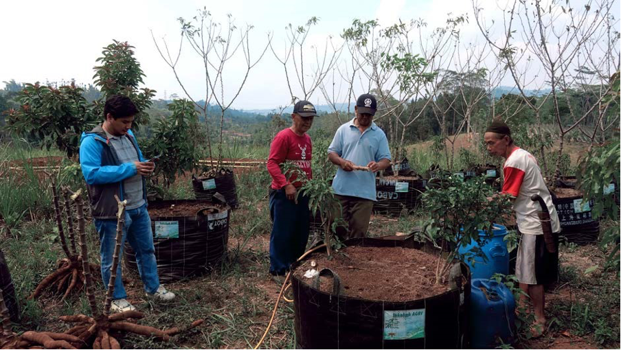           Penggunaan biochar untuk lahan pertanian