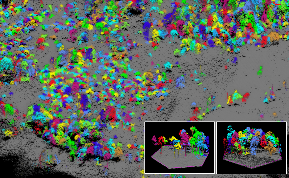 Hasil data LiDAR untuk tree counting