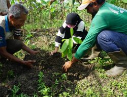 Perbanyak Pahala Selama Ramadan, Simak Caranya di Sini!