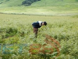 Mengenal Sosok Bima Travel Content Creator asal Trenggalek