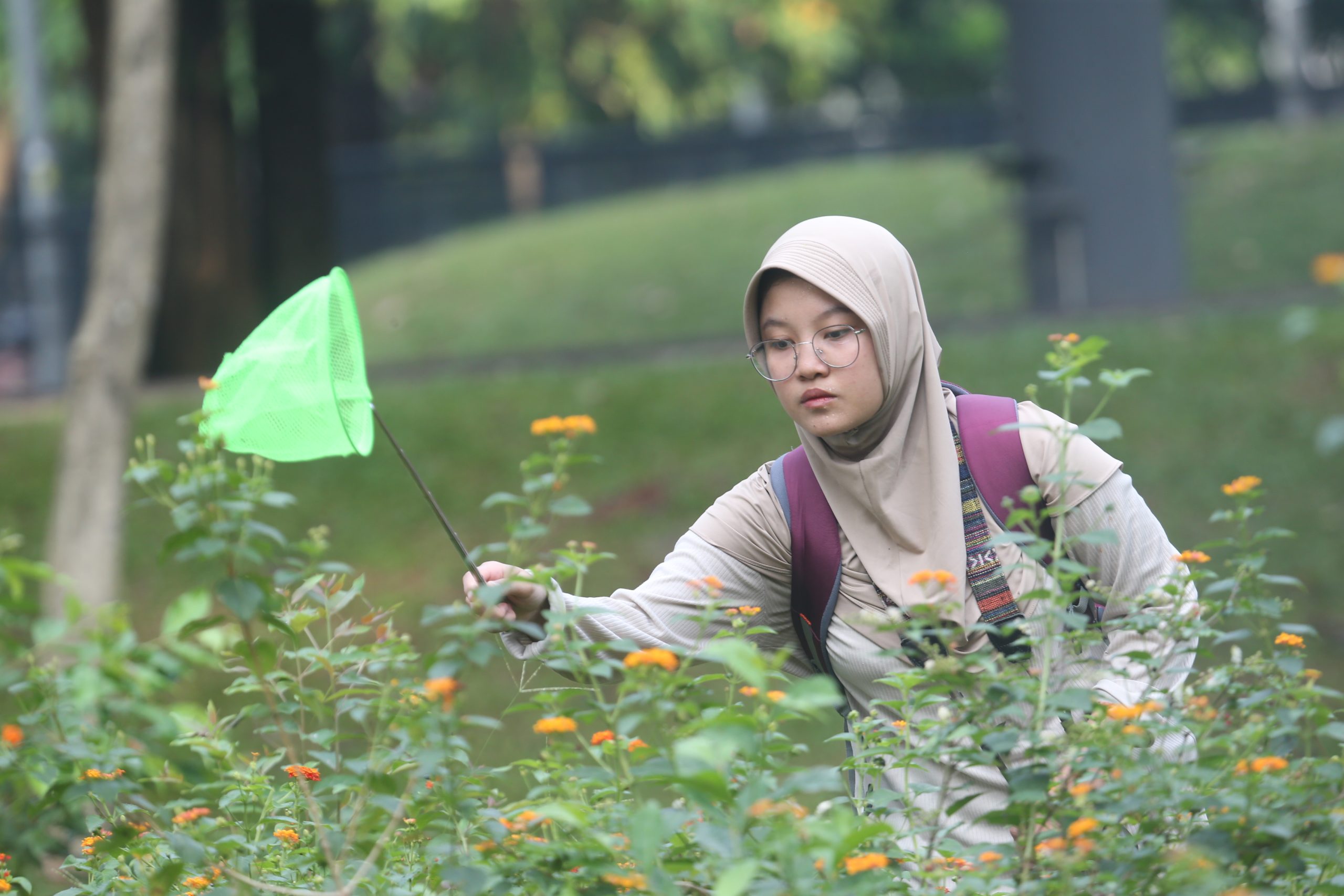 Selain jenis burung, Biodiversity Warriors KEHATI juga melakukan pengamatan satwa lain, yaitu insek, amfibi, dan reptil