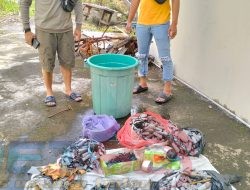 Polsek Purwodadi Berhasil Amankan Ratusan Bahan Peledak Jenis Mercon Di Rumah Kososng