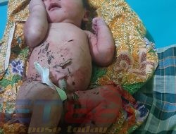 Penemuan Bayi Takberdosa Di Desa Tanjung Membuat Warga Gempar