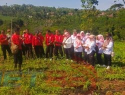 Untuk Percepata Reboisasi, Jajaran Perhutani BKPH Sumber Wringin Laksanakan Penanaman Pohon (PBG) Bersama Stakeholder