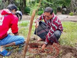 Untuk Sedekah Oksigen Pengelola Wisata Beaxh Forest Lakukan Reboisasi Tanaman