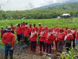 Peduli Lingkungan dan Sedekah Oksigen, IIK Perhutani Ranting BKPH Panarukan Gelar Tanam Pohon Bersama
