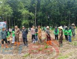 Bersama Polres Perhutani KPH Bondowoso Laksanakan Penanaman Jagung Untuk Ketahanan Pangan 2025