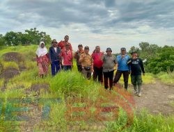 Gelar Sidak Wakil ADM Perhutani KSKPH Bondowoso Utara Pastikan Keberhasilan Reboisasi