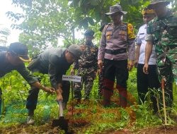 Lestarikan Hutan, Perhutani Bondowoso Gandeng FORKOPIMCAM Binakal Tanam Pohon Bersama