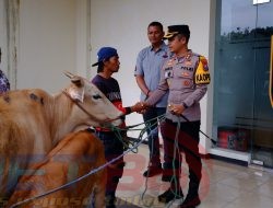 Polres Bondowoso Berhasil Temukan dan Kembalikan 3 ekor Sapi yang Hilang, Pemilik Tersenyum Riang
