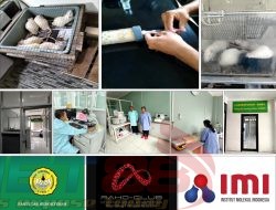 Terobosan Terapi Komplementer Teknologi Nano Kombinasi NO, Mg dan GNH