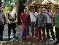 Lindungi Pengunjung Wisata Perhutani Bondowoso Lakukan Perempesan dan Pemangkasan Pohon di BEACH FOREST
