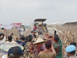 Kapolda Jawa Timur dan Forkopimda Panen Raya Jagung di Prambon Sidoarjo
