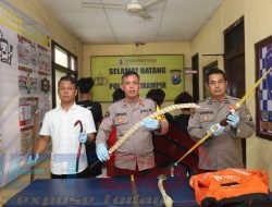 Polres Pelabuhan Tanjungperak Amankan 4 Remaja Bersajam dan Busur Panah Diduga Untuk Tawuran
