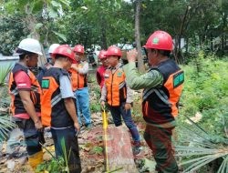 Perhutani KPH Bondowoso Gelar Cutting Test Tebangan Kayu Jati Tahun 2025 di BKPH Prajekan