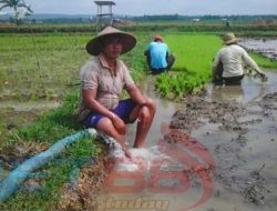 BSPS: Bukan Urusan Bupati? Ya, Memang Bukan!”