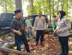 AKBP Widya KASUBDIT POLSUS Polda JATIM Pelajari Sistem Lacak Balak di Perhutani KPH Bondowoso